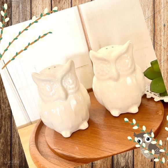 Set of Two Ceramic Owl Salt and Pepper Shakers